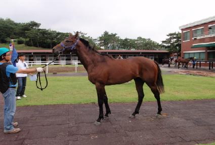 è�Ǿ��÷� ����