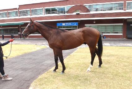 �н����ֹ´ϼ� ����