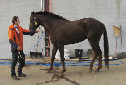 õ���� ����