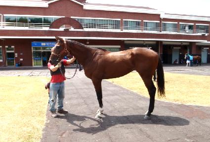 ���������� ����