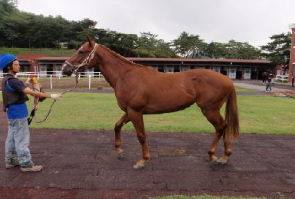 �ϻ����� ����