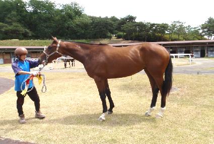 �ºν�ȭ ����