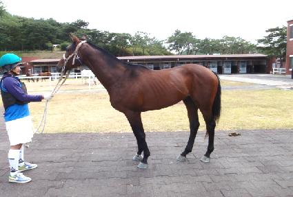 ������� ����