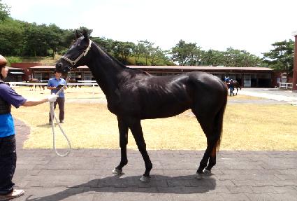 ���þ����� ����