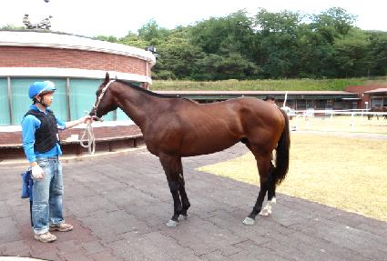 ���������� ����