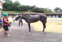 �ְ����� (CHEOGANG JEONSA) ����