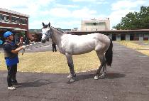 ���� (GUNJANG) ����