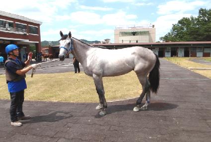 ���� ����