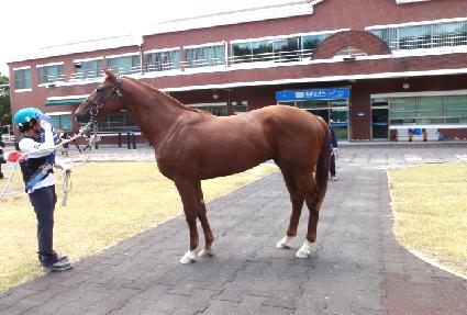 ���Ǽ�Ʈ������� ����