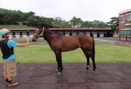 �ݷ�Ʈ���� ����