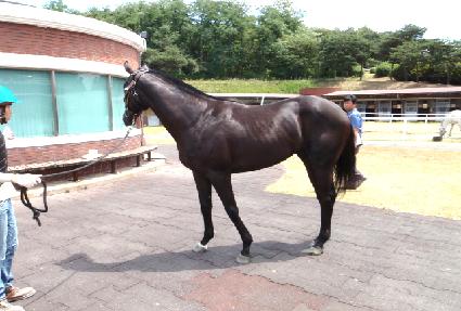 ���Ĵ�ī�޶�� ����