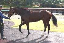 �Ƹ��������� (ARGO PRINCE) ����