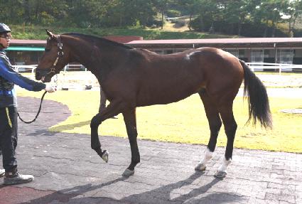 �Ƹ��������� ����