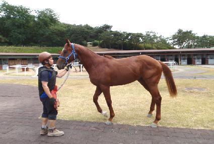 ����ͺ� ����