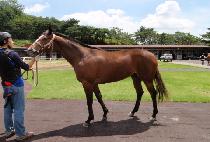 �ʽ¿��� (PILSEUNG YEOWANG) ����