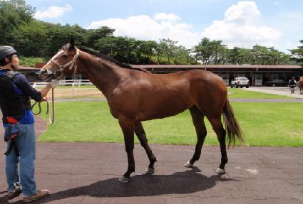 �ʽ¿��� ����