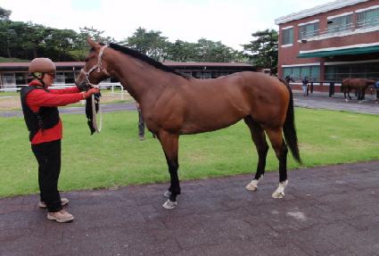 �ö������� ����