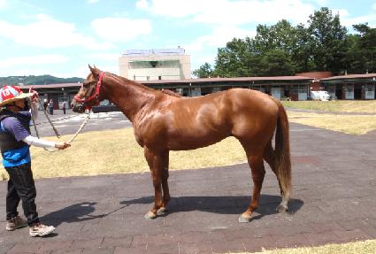 ���� ����