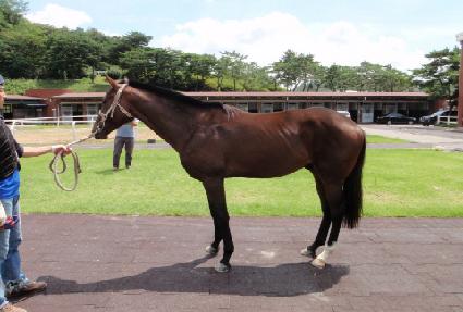 �������� ����