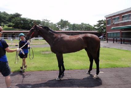 ��õ�밨 ����