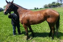 ������� (DONGSEO DAERYUK) ����