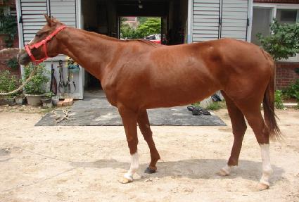 ��� ����