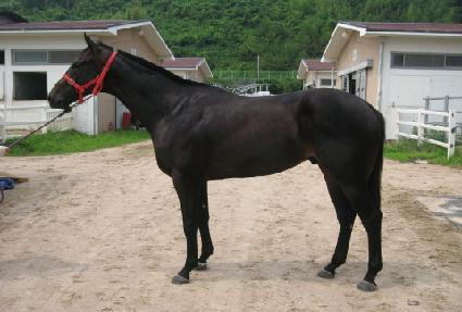 ���۰��� ����