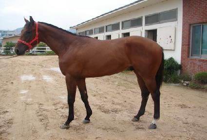 õ������ ����