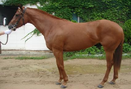 ��ǳ����� ����