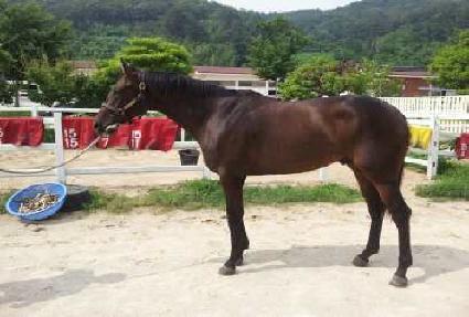 �����۸��ͽ� ����