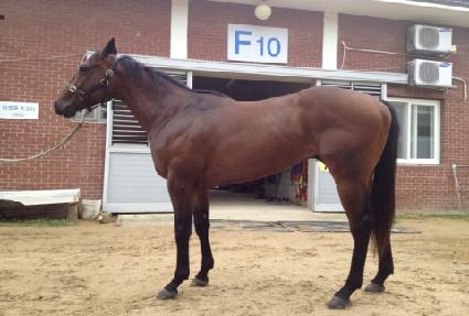 �췹���� ����