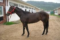 ������ (SINJOHYEOP) ����