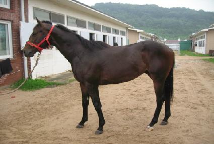 ������ ����