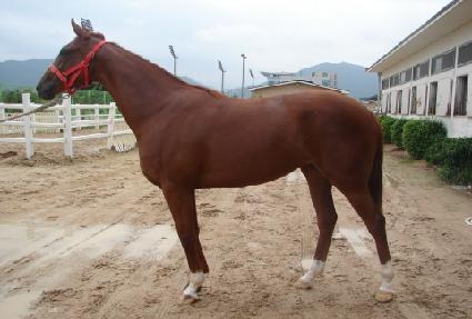 ������� ����