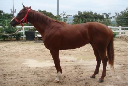 �������� ����