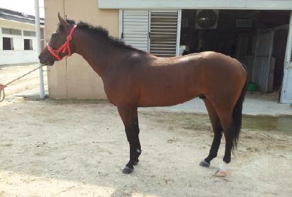 �弼����ũ ����