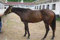 �����ѹ̼� (YEONGWONHAN MISO) ����