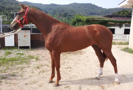 �ΰ����Ʈ ����