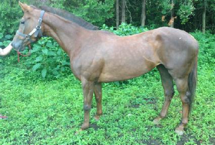 �̼�õ�� ����