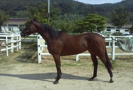 �ٴٻ� ����