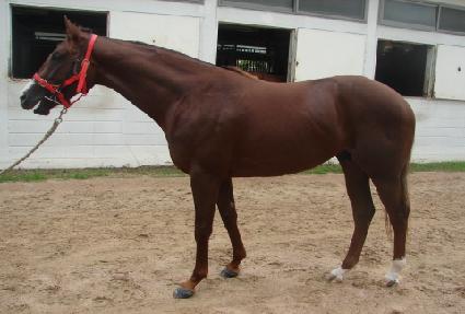 �ͺ��� ����