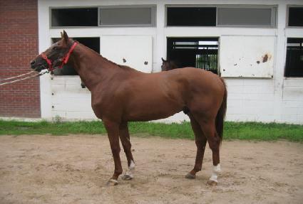 õ�º� ����