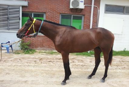 �����ְ� ����