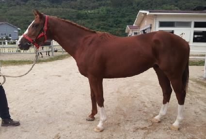 ���������� ����