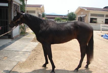 �Ŀ�Ǯ���� ����