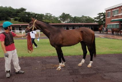 �������� ����