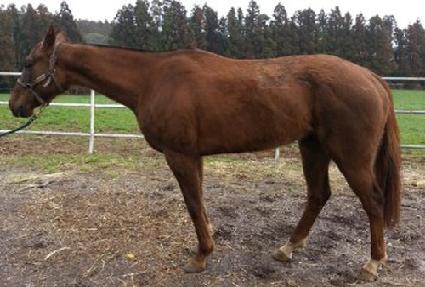 ����Ʈü���� ����