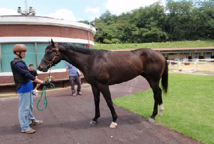 ��õ������ ����