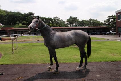 ��ȣ���� ����