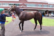 Ư�� (TEUNG MYEONG) ����